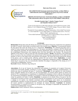 SECAMIENTO DE Pennisetum Clandestinum Hochst. Ex Chiov POR LA CHINCHE DE LOS PASTOS Blissus Leucopterus Say EN EL SUR DE VERACRUZ †