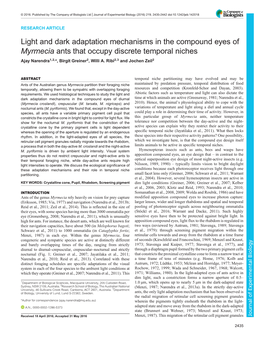 Light and Dark Adaptation Mechanisms in the Compound Eyes of Myrmecia Ants That Occupy Discrete Temporal Niches Ajay Narendra1,2,*, Birgit Greiner2, Willi A