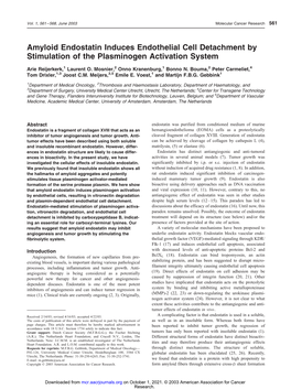 Amyloid Endostatin Induces Endothelial Cell Detachment by Stimulation of the Plasminogen Activation System