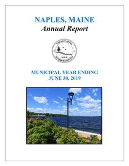 2019 Annual Report.Pdf