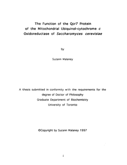 The Function of the Qcr7 Protein of the Mitochondrial Ubiquinol-Cytochrome C Oxidoreductase of Saccharomyces Cerevisiae