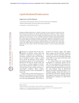 Lipid-Mediated Endocytosis