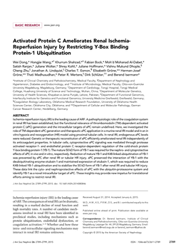 Activated Protein C Ameliorates Renal Ischemia- Reperfusion Injury by Restricting Y-Box Binding Protein-1 Ubiquitination