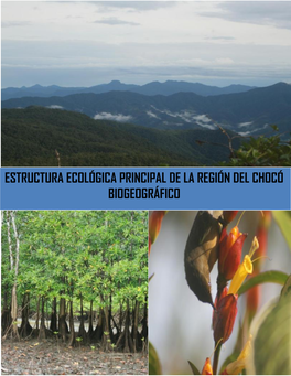 Estructura Ecológica Principal Del Chocó Biogeográfico