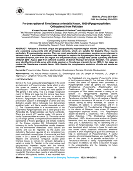 Re-Description of Tenuitarsus Orientalis Kevan, 1959