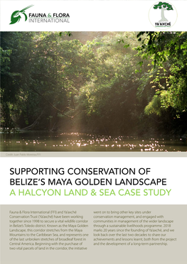 Supporting Conservation of Belize's Maya Golden