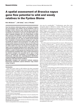 A Spatial Assessment of Brassica Napus Gene Flow Potential to Wild and Weedy Relatives in the Fynbos Biome