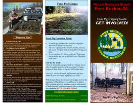 Feral Hog Brochure