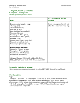 Tetropium Fuscum (Fabricius) Coleoptera: Cerambycidae Brown Spruce Longhorned Beetle
