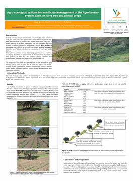 Agro Ecological Options for an Efficient Management of the Agroforestry System Basis on Olive Tree and Annual Crops