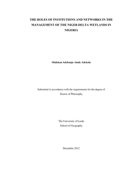 The Roles of Institutions and Networks in the Management of the Niger Delta Wetlands in Nigeria