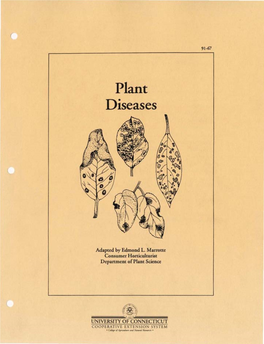 Plant Diseases