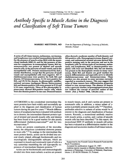 Antibody Specific to Muscle Actins in the Diagnosis and Classi Cation Ofsoft Tissue Tumors