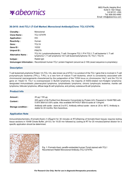 Monoclonal Antibody(Clone: TCL1/2747R)