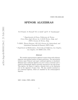 Spinor Algebras