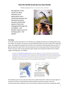 How the Florida Scrub-Jay Can Save Florida