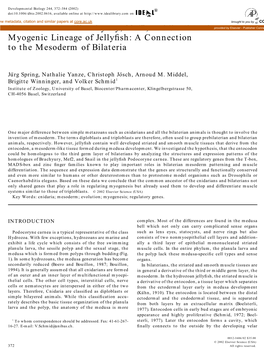 Conservation of Brachyury, Mef2 and Snail in the Myogenic Lineage Of