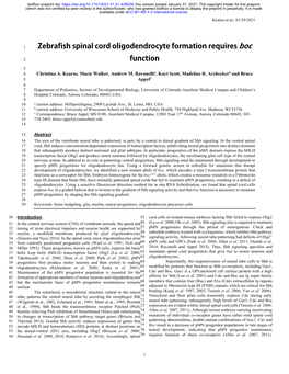 Zebrafish Spinal Cord Oligodendrocyte Formation Requires Boc Function