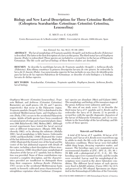 Biology and New Larval Descriptions for Three Cetoniine Beetles (Coleoptera: Scarabaeidae: Cetoniinae: Cetoniini: Cetoniina, Leucocelina)