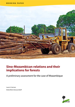 Sino-Mozambican Relations and Their Implications for Forests