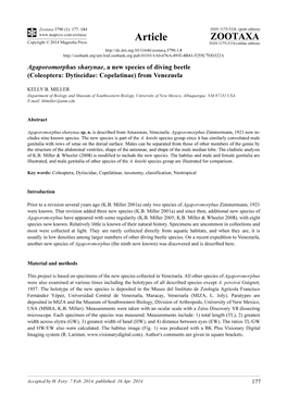 Agaporomorphus Sharynae, a New Species of Diving Beetle (Coleoptera: Dytiscidae: Copelatinae) from Venezuela