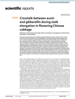 Crosstalk Between Auxin and Gibberellin During Stalk Elongation