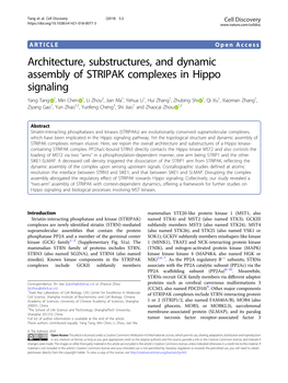 Architecture, Substructures, and Dynamic Assembly of STRIPAK