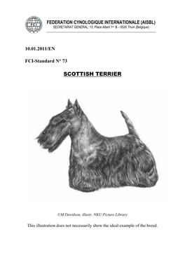 Scottish Terrier