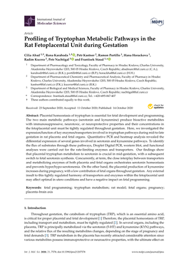 Profiling of Tryptophan Metabolic Pathways in the Rat Fetoplacental