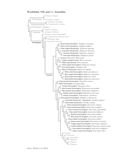 Amazilias.Pdf