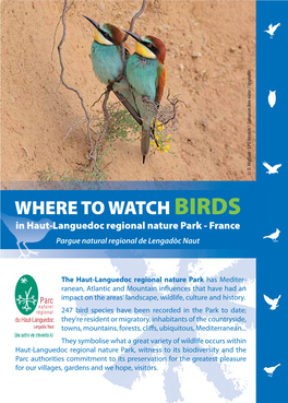 Where to Watch Birds (And Other Wildlife) in Parc Naturel Régional" Corse