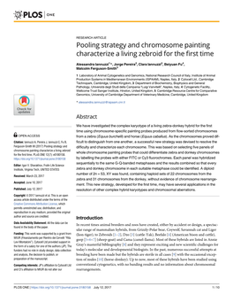 Pooling Strategy and Chromosome Painting Characterize a Living Zebroid for the First Time