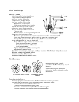 Plant Terminology