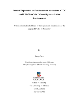 Protein Expression in Fusobacterium Nucleatum ATCC 10953 Biofilm Cells Induced by an Alkaline Environment
