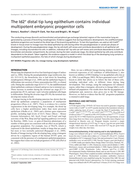 The Id2 Distal Tip Lung Epithelium Contains Individual Multipotent