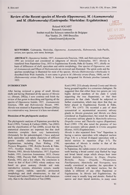 Review of the Récent Species Oïmorula (Oppomorus), M