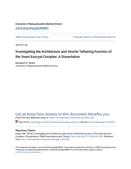 Investigating the Architecture and Vesicle Tethering Function of the Yeast Exocyst Complex: a Dissertation