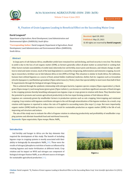 N2 Fixation of Grain Legumes Leading to Beneficial Effect on the Succeeding Maize Crop
