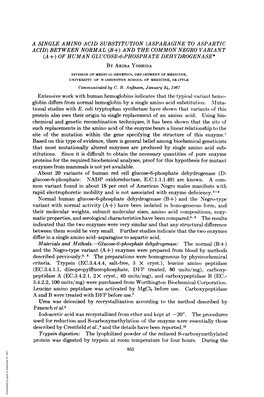 Differ in a Single Amino Acid-Asparagine to Aspartic Acid