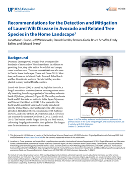 Recommendations for the Detection and Mitigation of Laurel Wilt Disease in Avocado and Related Tree Species in the Home Landscape1 Jonathan H