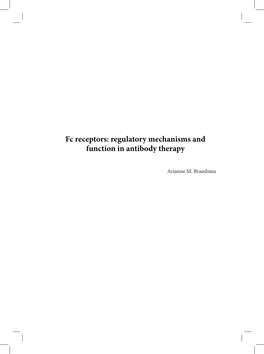 Fc Receptors: Regulatory Mechanisms and Function in Antibody Therapy