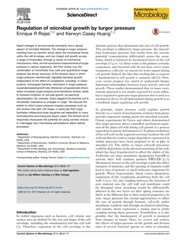 Regulation of Microbial Growth by Turgor Pressure