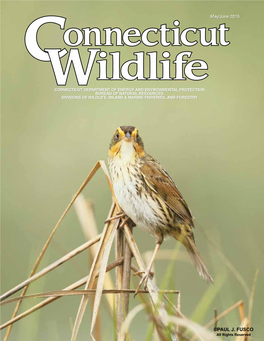 Connecticut Wildlife May/June 2015 Connecticut’S 2015 Wildlife Action Plan Almost Complete