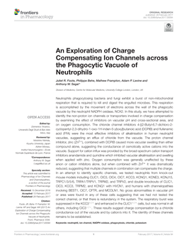 An Exploration of Charge Compensating Ion Channels Across the Phagocytic Vacuole of Neutrophils
