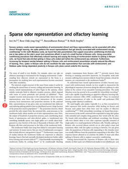 Sparse Odor Representation and Olfactory Learning