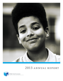 2013 Annual Report