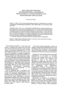 First Tertiary Molossid (Microchiroptera : Molossidae) from Australia: Its Phylogeneticand Biogeographicimplications