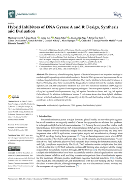 Hybrid Inhibitors of DNA Gyrase a and B: Design, Synthesis and Evaluation