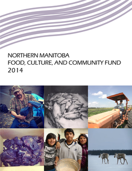 NORTHERN MANITOBA FOOD, CULTURE, and COMMUNITY FUND 2014 Executive Summary 3