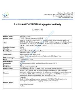 Rabbit Anti-ZNF22/FITC Conjugated Antibody